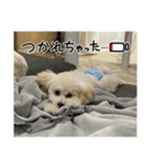 おもちの日常【2】（個別スタンプ：2）