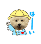 おもちの日常【2】（個別スタンプ：13）