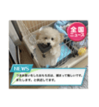 おもちの日常【2】（個別スタンプ：14）
