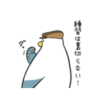 カモメでGolf SP（個別スタンプ：22）