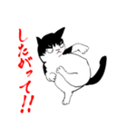 にゃっきー(ず)（個別スタンプ：18）