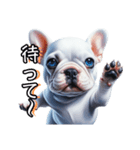 フレンチブルの気持ち（個別スタンプ：11）