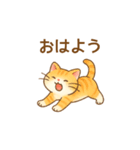 ねこ大集合（多種詰め合わせ）（個別スタンプ：1）