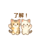 ねこ大集合（多種詰め合わせ）（個別スタンプ：3）