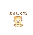 ねこ大集合（多種詰め合わせ）（個別スタンプ：6）