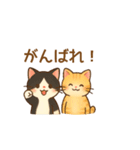 ねこ大集合（多種詰め合わせ）（個別スタンプ：11）