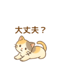 ねこ大集合（多種詰め合わせ）（個別スタンプ：17）