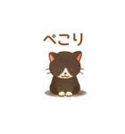 ねこ大集合（多種詰め合わせ）（個別スタンプ：24）