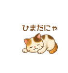 ねこ大集合（多種詰め合わせ）（個別スタンプ：34）