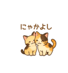 ねこ大集合（多種詰め合わせ）（個別スタンプ：36）