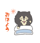 ポメラニアンのもぐおくん2（個別スタンプ：1）