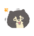 ポメラニアンのもぐおくん2（個別スタンプ：3）