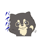 ポメラニアンのもぐおくん2（個別スタンプ：7）