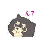 ポメラニアンのもぐおくん2（個別スタンプ：8）