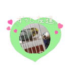 いろいろとりどりスタンプ（個別スタンプ：2）