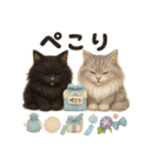 ふわふわメインクーンの夏スタンプ（個別スタンプ：13）