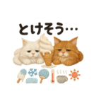 ふわふわメインクーンの夏スタンプ（個別スタンプ：17）