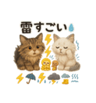 ふわふわメインクーンの夏スタンプ（個別スタンプ：21）