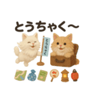 ふわふわメインクーンの夏スタンプ（個別スタンプ：26）