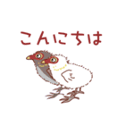 オオバン 子バン1（個別スタンプ：2）