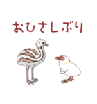 オオバン 子バン1（個別スタンプ：4）