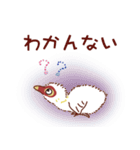 オオバン 子バン1（個別スタンプ：12）