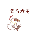 オオバン 子バン1（個別スタンプ：14）