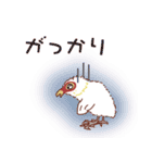 オオバン 子バン1（個別スタンプ：19）