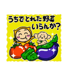 福井弁のオレンジとわんこ（夏）（個別スタンプ：14）