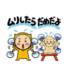 夏のオレンジとわんこ（個別スタンプ：35）