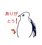 僕の毎日使える日常会話と挨拶（個別スタンプ：7）
