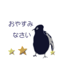 僕の毎日使える日常会話と挨拶（個別スタンプ：21）