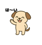 きもち伝える♪わんこスタンプ（個別スタンプ：24）