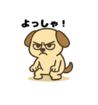 きもち伝える♪わんこスタンプ（個別スタンプ：30）