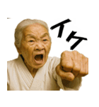 正拳突きばばぁ！(励まし 応援 褒めに便利)（個別スタンプ：14）