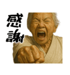正拳突きばばぁ！(励まし 応援 褒めに便利)（個別スタンプ：19）