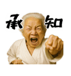 正拳突きばばぁ！(励まし 応援 褒めに便利)（個別スタンプ：33）
