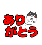 【デカ文字】ネコの猫男5（個別スタンプ：9）