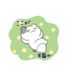 日常に入り込むねこ（個別スタンプ：29）