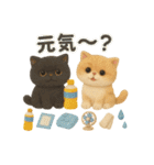 ふわエキゾチックショートヘアの夏スタンプ（個別スタンプ：3）