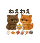 ふわエキゾチックショートヘアの夏スタンプ（個別スタンプ：4）