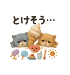 ふわエキゾチックショートヘアの夏スタンプ（個別スタンプ：17）