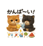 ふわエキゾチックショートヘアの夏スタンプ（個別スタンプ：22）