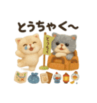 ふわエキゾチックショートヘアの夏スタンプ（個別スタンプ：26）