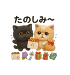 ふわエキゾチックショートヘアの夏スタンプ（個別スタンプ：28）