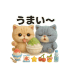 ふわエキゾチックショートヘアの夏スタンプ（個別スタンプ：33）