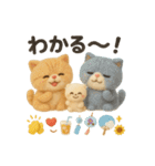 ふわエキゾチックショートヘアの夏スタンプ（個別スタンプ：40）
