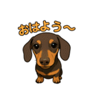 アグとラウ あいさつスタンプ（個別スタンプ：1）