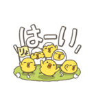 うごく！ ひよこの毎日でか文字スタンプ（個別スタンプ：2）