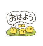 うごく！ ひよこの毎日でか文字スタンプ（個別スタンプ：15）